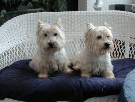 Nelly und Leila